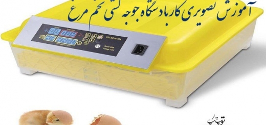 نحوه استفاده از دستگاه جوجه کشی برای جوجه کشی تخم مرغ ها 