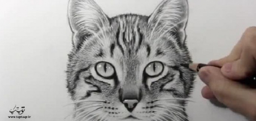 چگونه یک گربه نقاشی کنیم ، رسم گربه + عکس