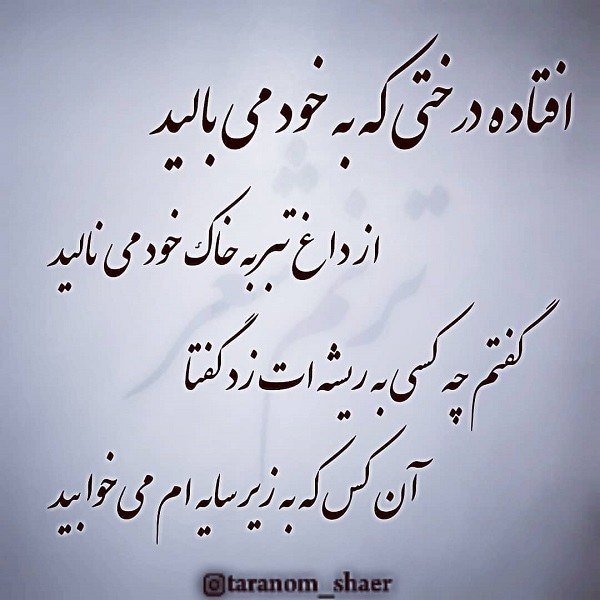 عکس نوشته قدر نشناسی همسر