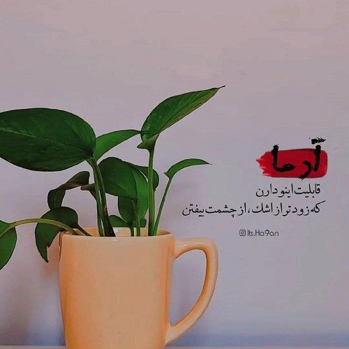 پروفایل پروفسور سمیعی