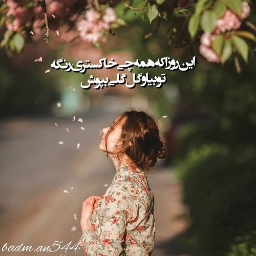 عکس نوشته های خاص و تیکه دار