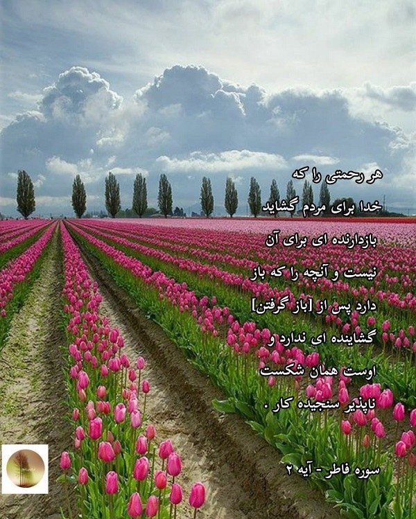 عکس نوشته برای سرنوشت