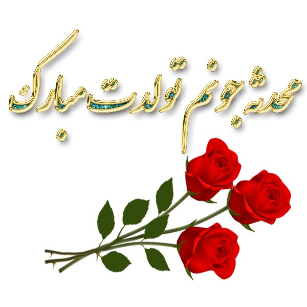 عکس محدثه جان تولدت مبارک