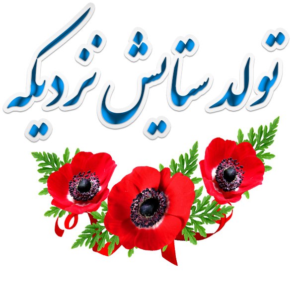 تولد ستایش نزدیکه