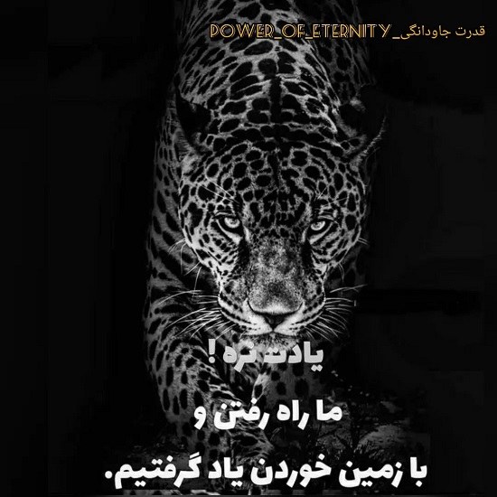 عکس نوشته انتقام روزگار