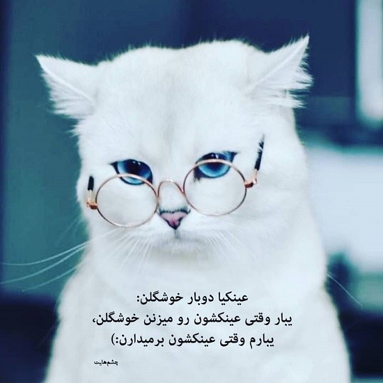 متن درباره عینکی ها 1401 جدید