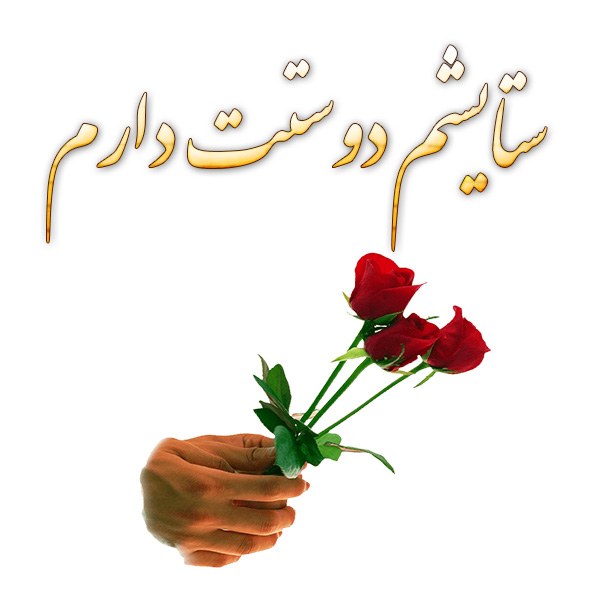 عکس نوشته ستایشم دوستت دارم