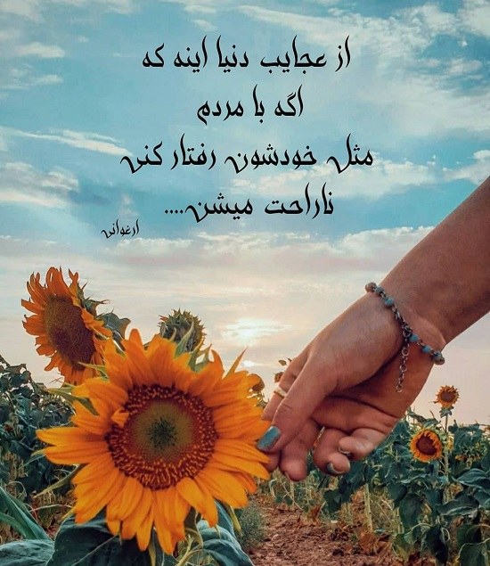 تیکه به بدهکار ، عکس نوشته طلبکاری