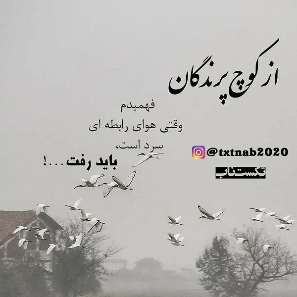 پروفایل گاهی باید خود را برداشت و رفت