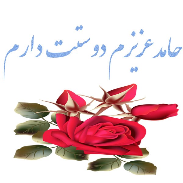 عکس حامد عزیزم دوستت دارم