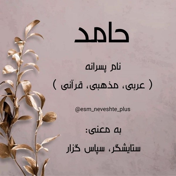معنی اسم حامد + عکس نوشته اسم حامد
