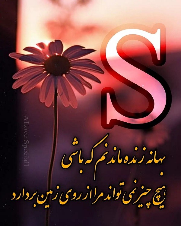 اسم سهیلا به انگلیسی