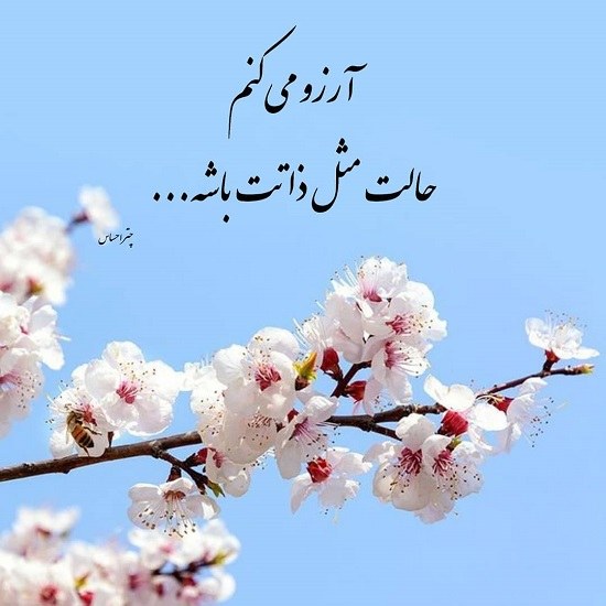 عکس نوشته بهاری دخترانه