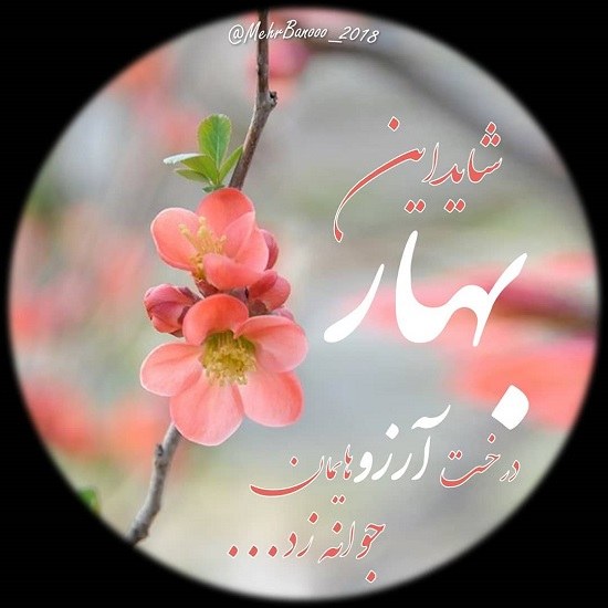 دانلود عکس نوشته بهاری