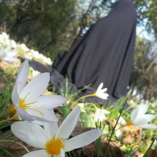 پروفایل دختر چادری با گل نرگس