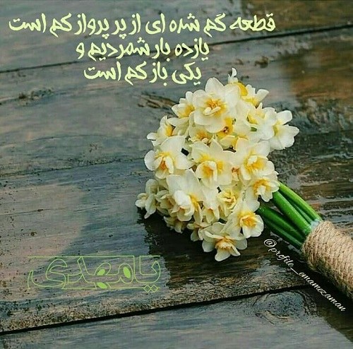 پروفایل امام زمان و گل نرگس