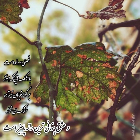 متن نوشته عشق پنهانی من