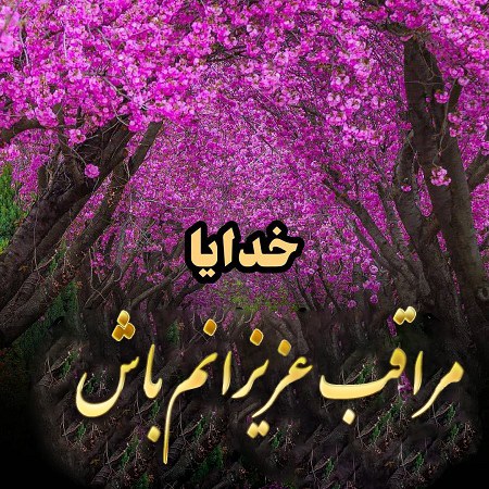 عکس نوشته خدایا مراقب عزیزانم باش