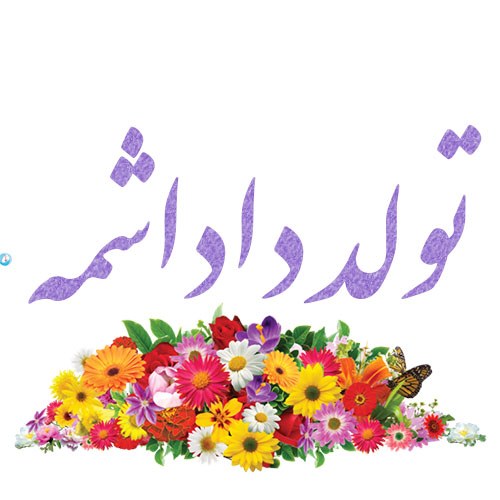 تولد داداشمه