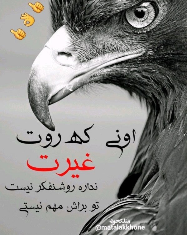 عکس نومشته درباره غیرت و ناموس