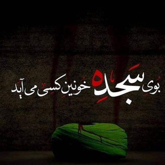 کلیپ کوتاه شهادت امام علی ع برای وضعیت واتساپ - تــــــــوپ ...