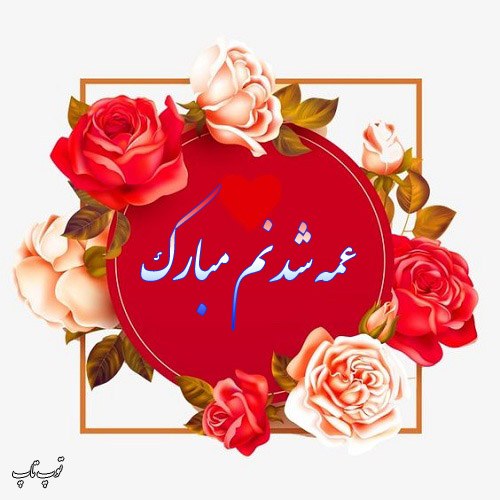 عکس نوشته عمه شدن دوباره