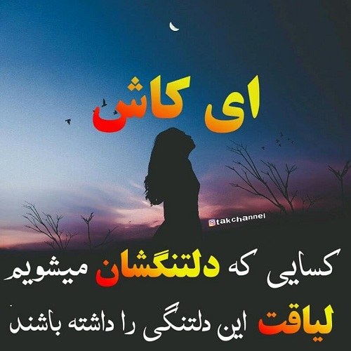 پروفایل برنامه شاد ، پروفایل برای برنامه شاد