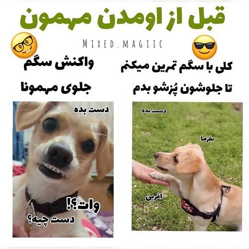 عکس پروفایل خنده دار پسرونه