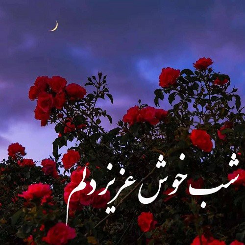 عکس نوشته شب خوش عزیز دلم