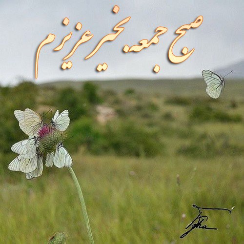 عکس نوشته صبح جمعه بخیر عزیزم