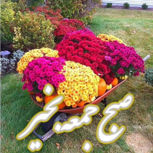 عکس نوشته سلام صبح جمعه بخیر برای وضعیت