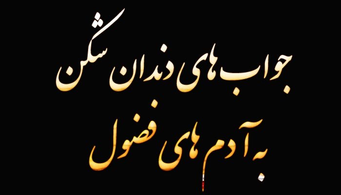 جواب های دندان شکن به آدم های فضول