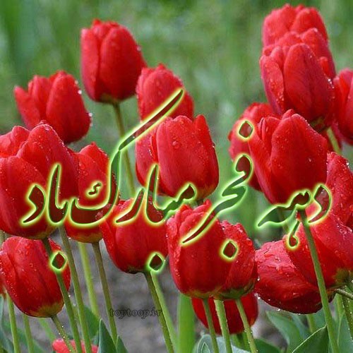 عکس دهه فجر با کیفیت بالا