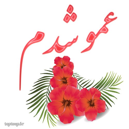 عکس نوشته عمو شدم