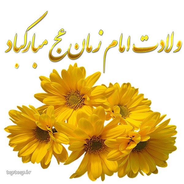 عکس تولد امام زمان برای پروفایل