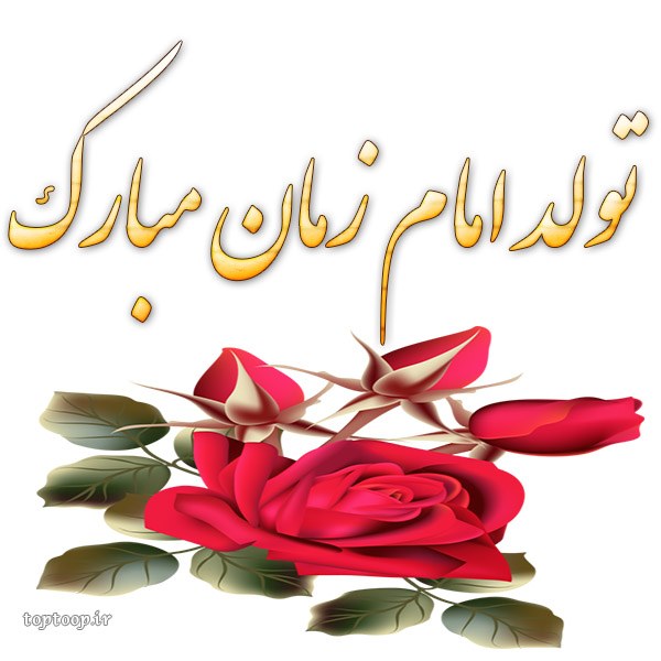 عکس تولد امام زمان مبارک