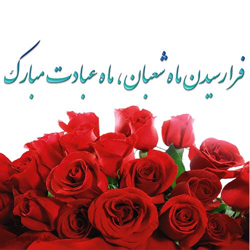 عکس نوشته شعبان مبارک زیبا