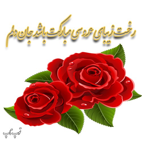 متن نوشته شب عروسی دخترم با عکس