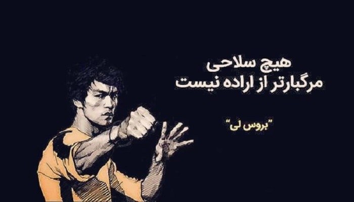 آلبوم عکس زیبای کونگ فو برای پروفایل