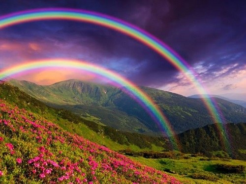 Rainbow-(3).jpg