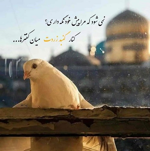 تصاویر اسلامی زیبا برای پروفایل