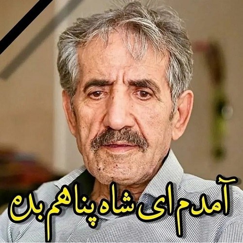 آمده ام ای شاه پناهم در حرم