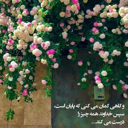 پروفایل گاهی نمی شود که نمی شود