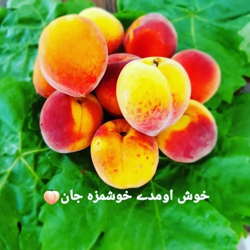 عکس میوه تابستانی برای پروفایل