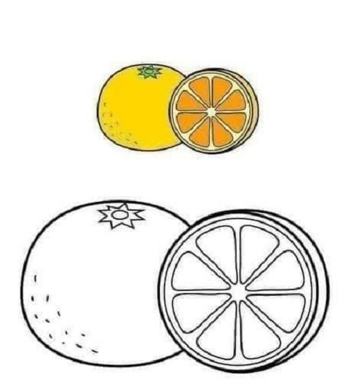 نقاشی مدادرنگی میوه های مختلف