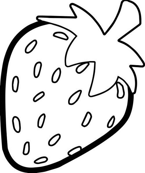 عکس نقاشی میوه ساده