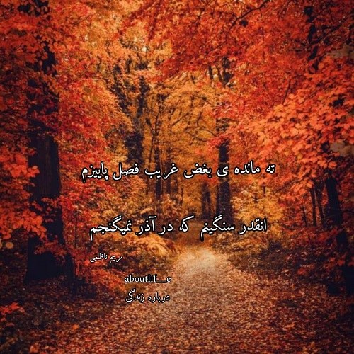 پروفایل پاییزی لاکچری