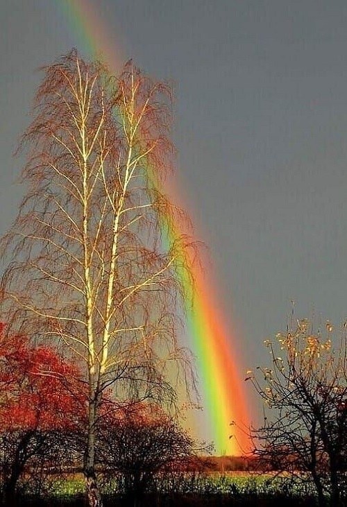 عکس باران و رنگین کمان زیبا