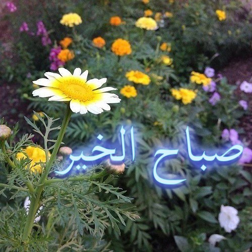 عکس نوشته صباح