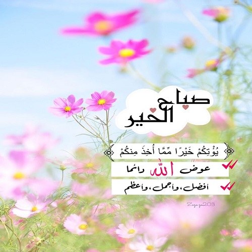 عکس صباح الخیر زیبا عکس صباح الخیر زیبا